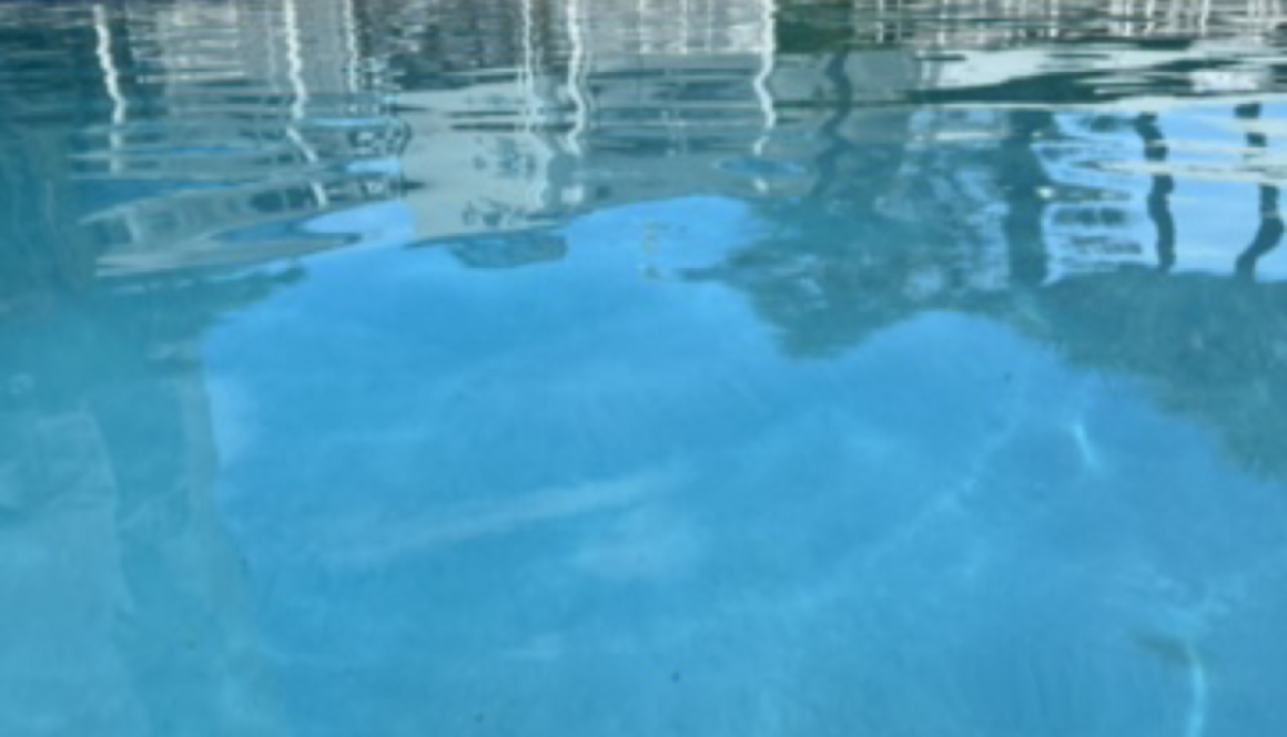 Cooling in the pool on a hot day!