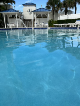 Cooling in the pool on a hot day!