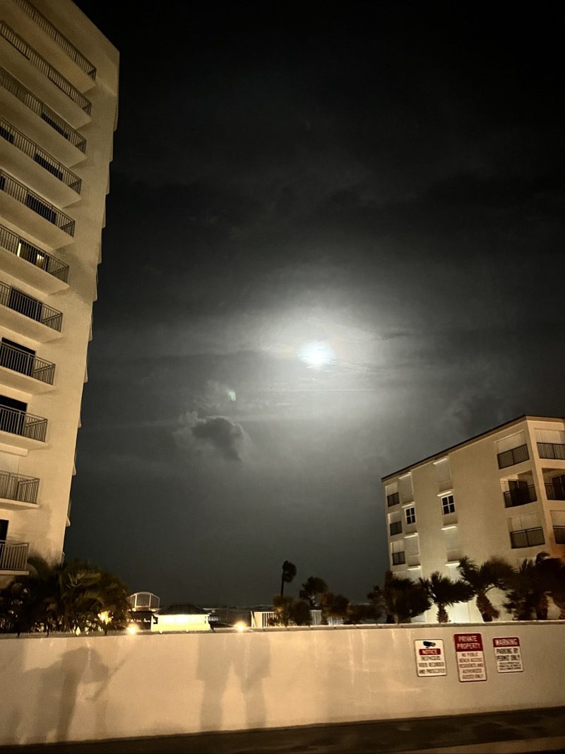 The Night Before Nicole